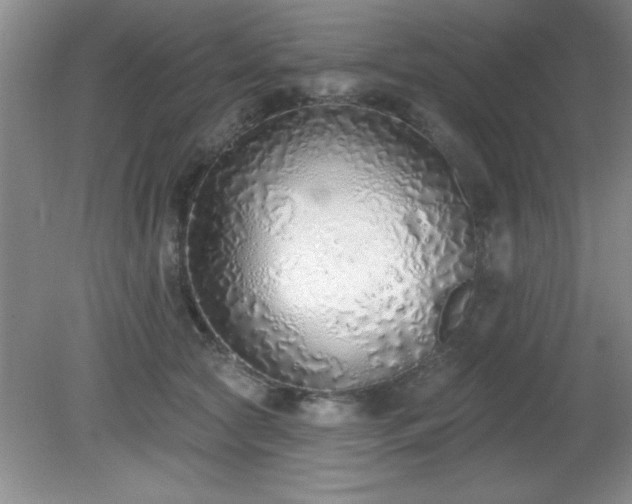 X0000081380561200701182208
