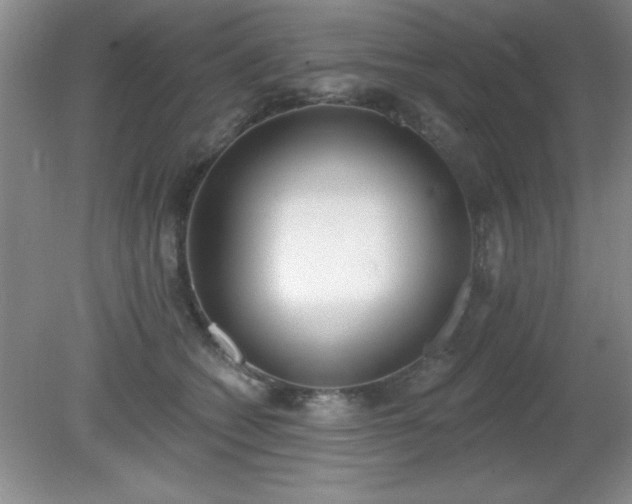 X0000081380562200701182208
