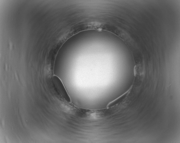 X0000081380564200701182208