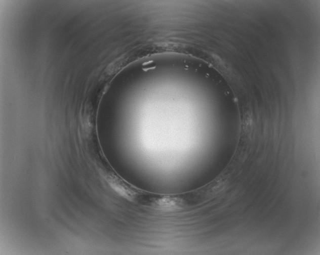 X0000081380566200701182208