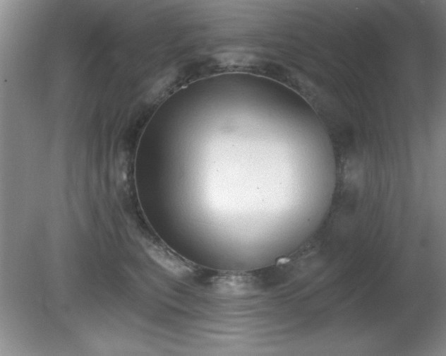 X0000081380567200701182208