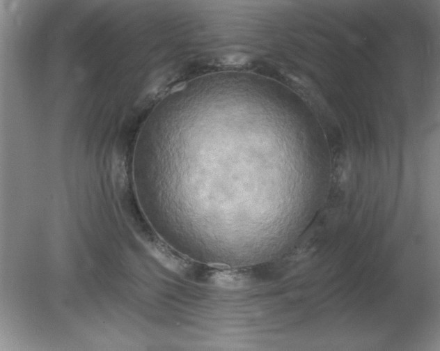 X0000081380568200701182208