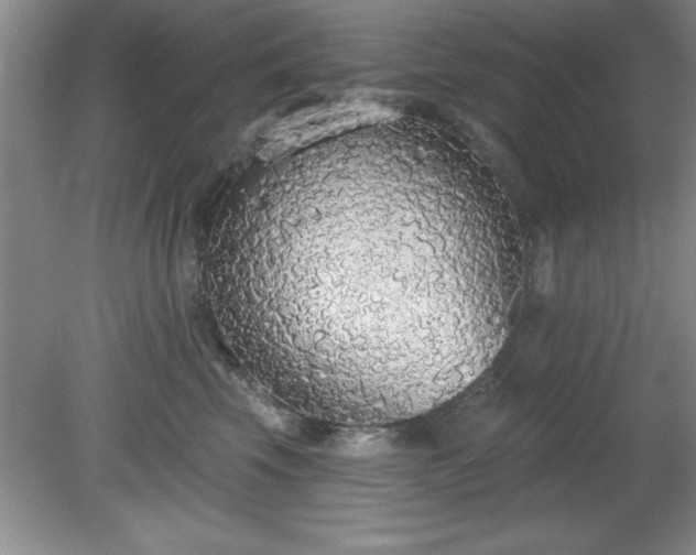 X0000081380569200701182208