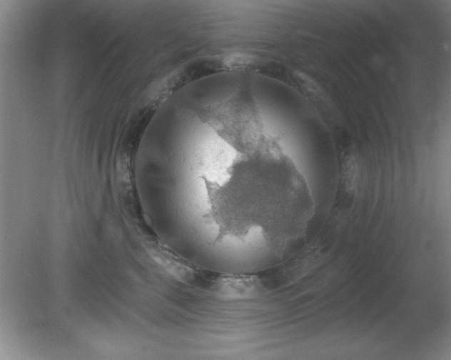 X0000081380571200701182208
