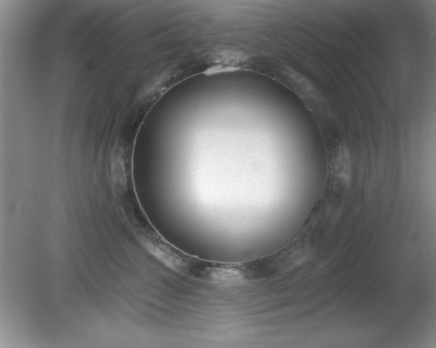 X0000081380572200701182208