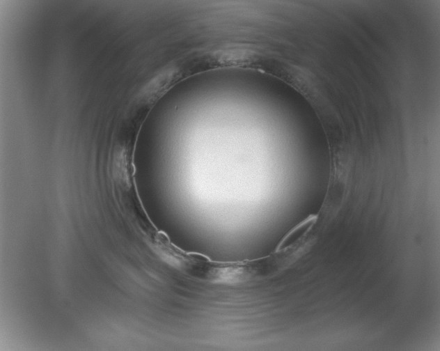X0000081380575200701182209