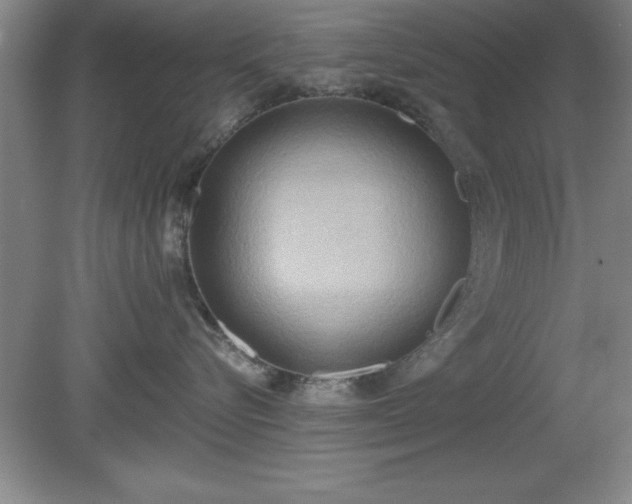 X0000081380576200701182209