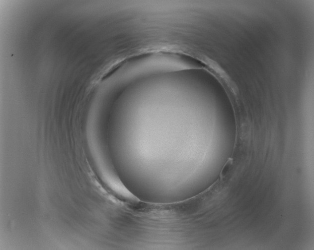 X0000081380577200701182208