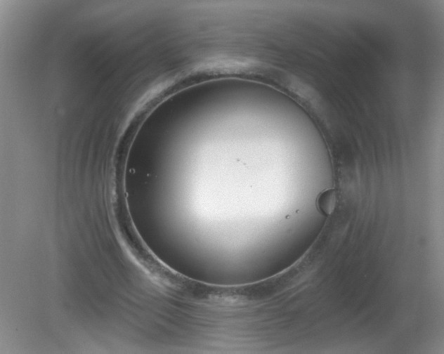 X0000081380582200701182208
