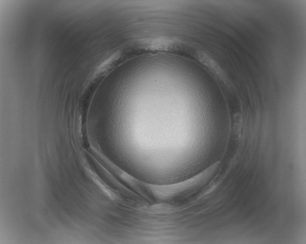 X0000081380589200701182208