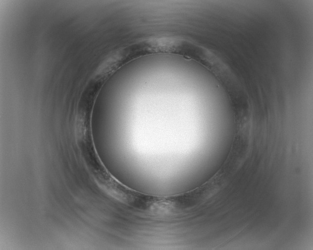 X0000081380599200701182207