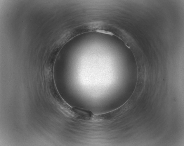 X0000081380601200701182207