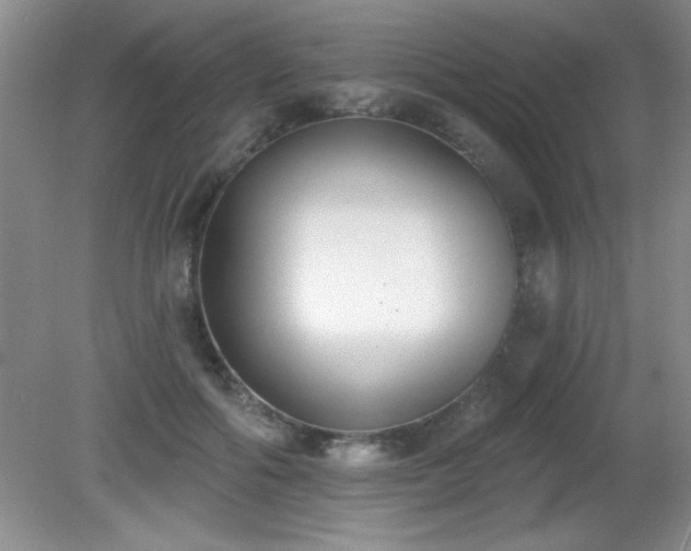 X0000081380602200701182207