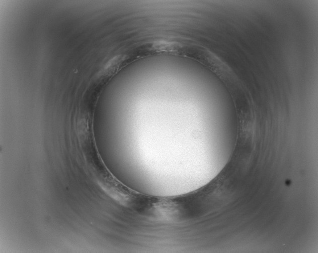 X0000081380603200701182207
