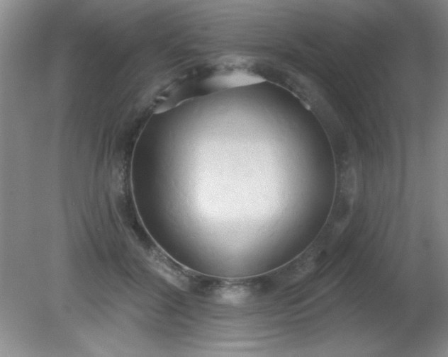 X0000081380604200701182207