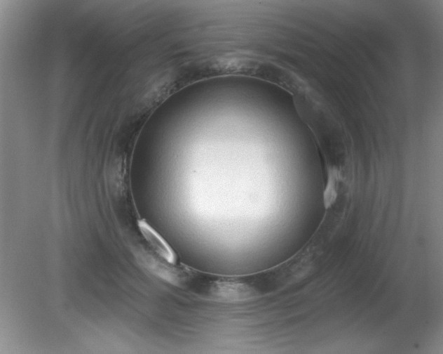 X0000081380605200701182207