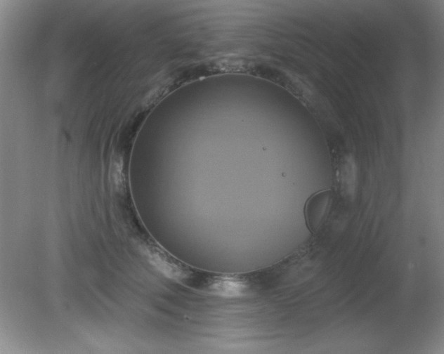 X0000081380610200701182207