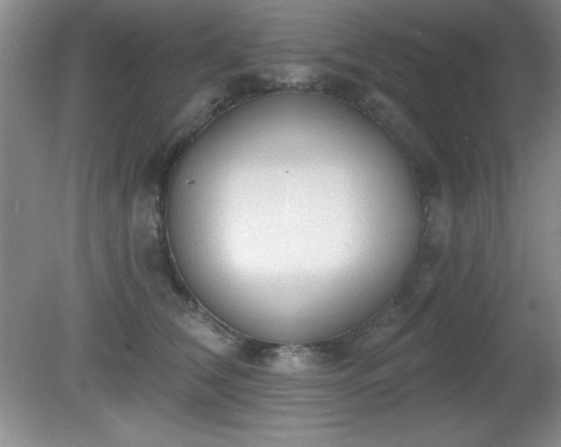 X0000081380612200701182207