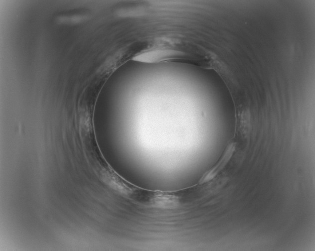 X0000081380617200701182207