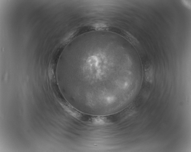 X0000081380618200701182207