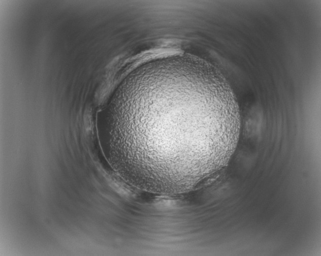 X0000081380620200701182207