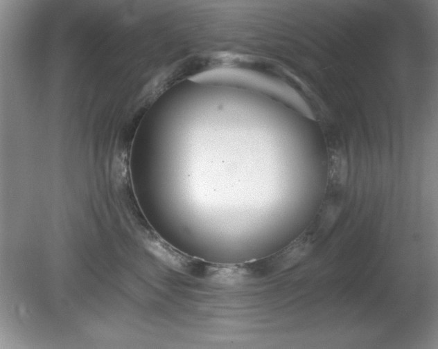 X0000081380621200701182207