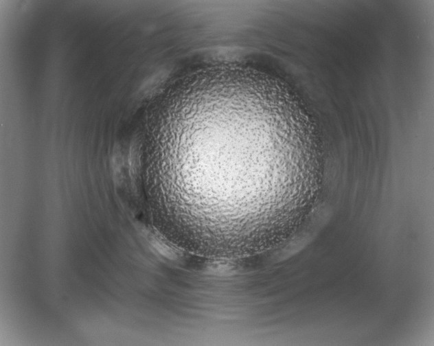 X0000081380624200701182207