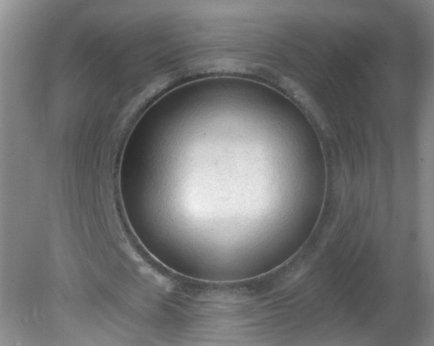 X0000081380625200701182206