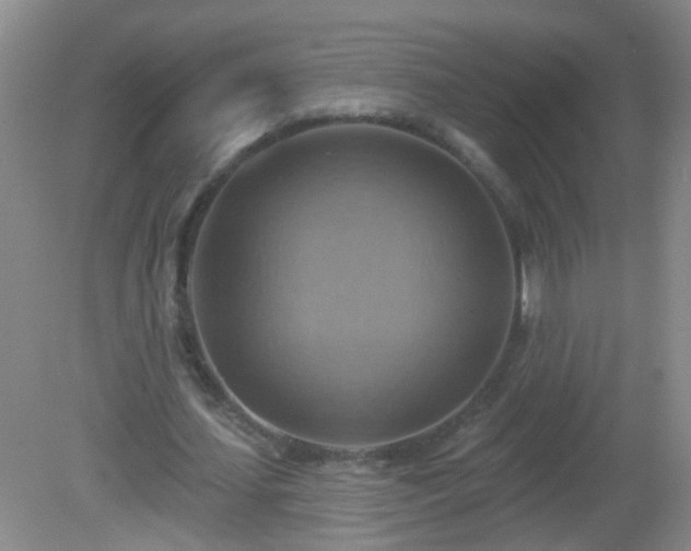 X0000081380627200701182206