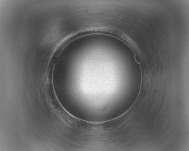 X0000081380628200701182206