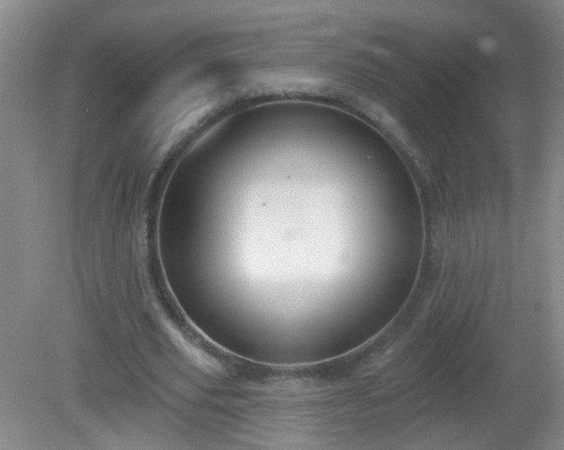 X0000081380629200701182206