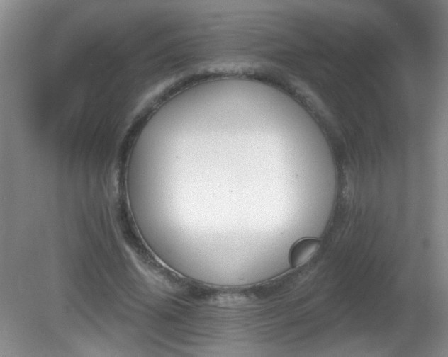 X0000081380636200701182206