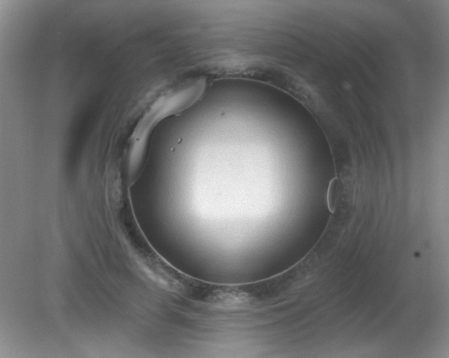 X0000081380642200701182206