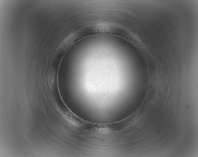 X0000081380645200701182206
