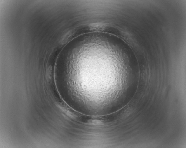 X0000081380649200701182207