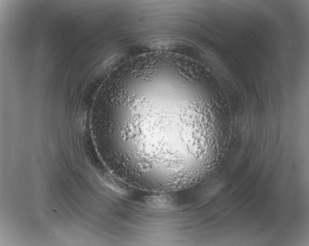 X0000081380652200701182207