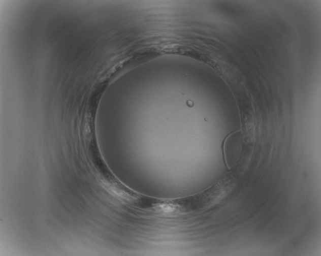 X0000081380654200701182207