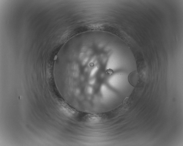 X0000081380658200701182207
