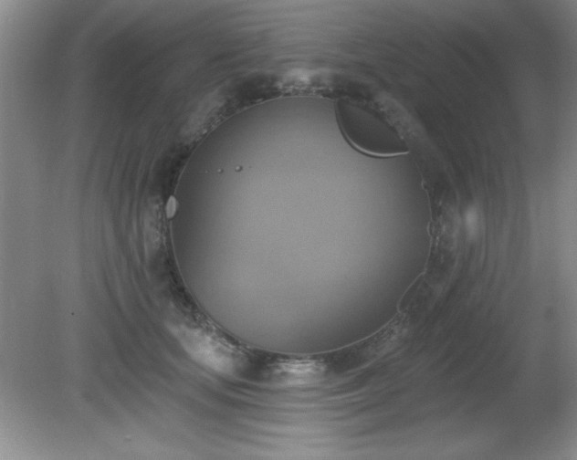 X0000081380659200701182207