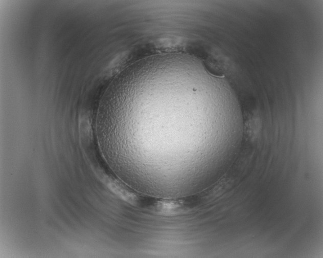 X0000081380662200701182207