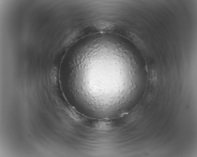 X0000081380664200701182207