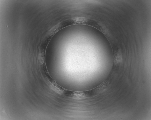 X0000081380666200701182207