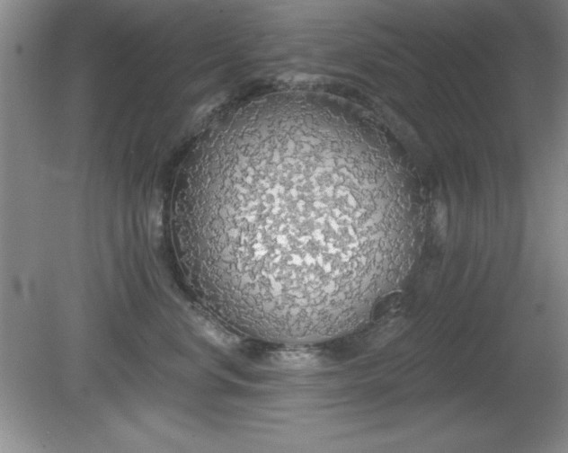 X0000081380668200701182207