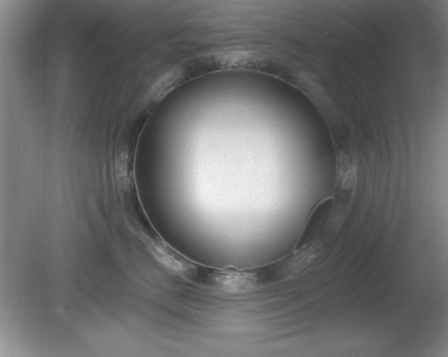 X0000081380670200701182207
