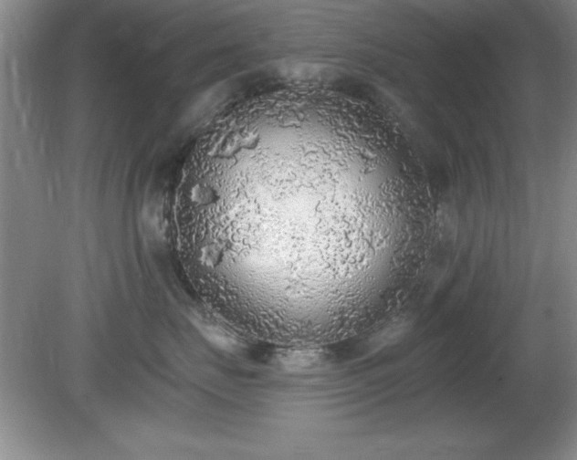 X0000081380671200701182207