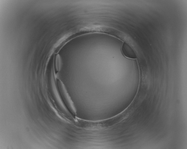 X0000081380674200701182206