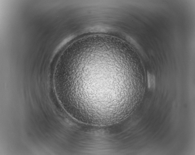 X0000081380675200701182206