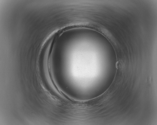 X0000081380676200701182206