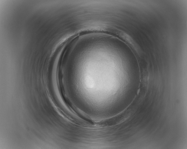 X0000081380677200701182206