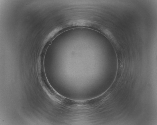 X0000081380678200701182206